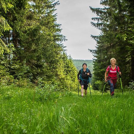 K1 Sporthotel - Bike & Ski Inklusive Hotel Обервізенталь Екстер'єр фото